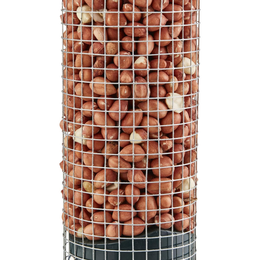 Happy Beaks Green Plastic Squirrel-Proof Design Hanging Bird Nut Feeder Image 4