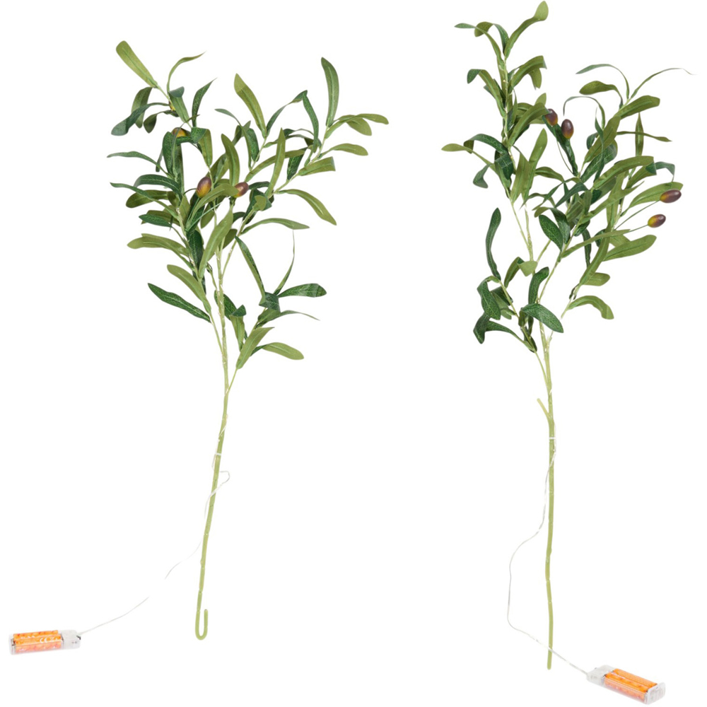 Olive Branch Twig Light Image