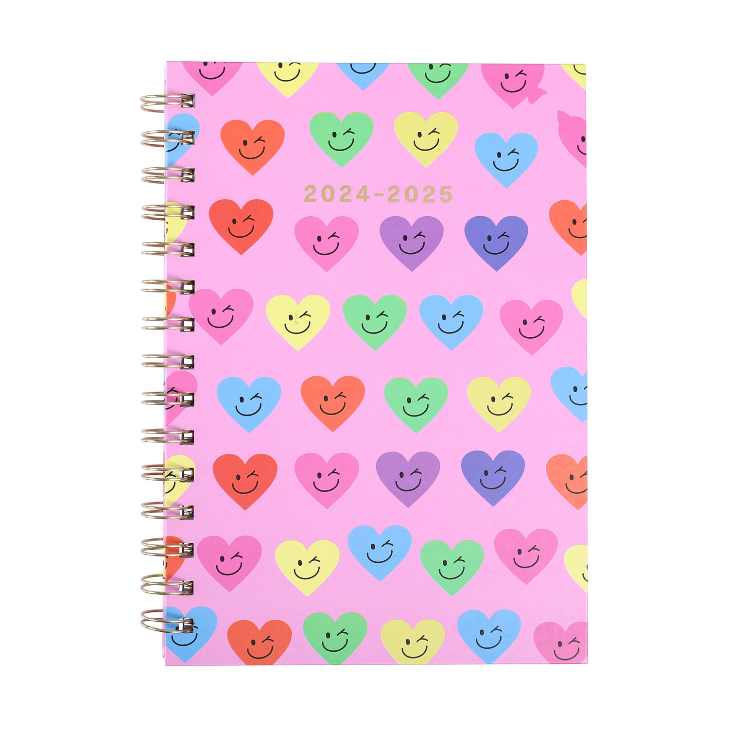 24/25 A5 Funky Academic Diary Image 1