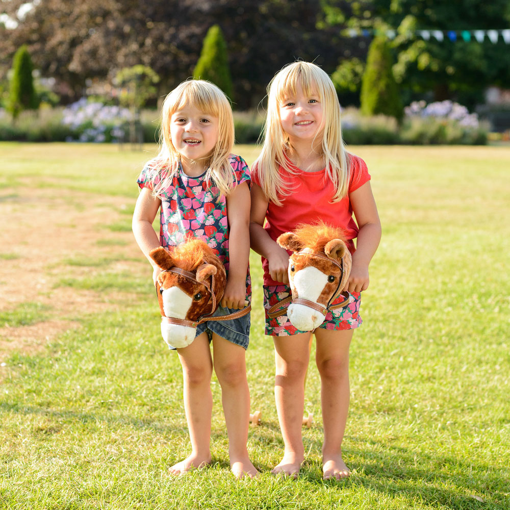 Toyrific Dark Brown Kids Hobby Horse Toy Image 7