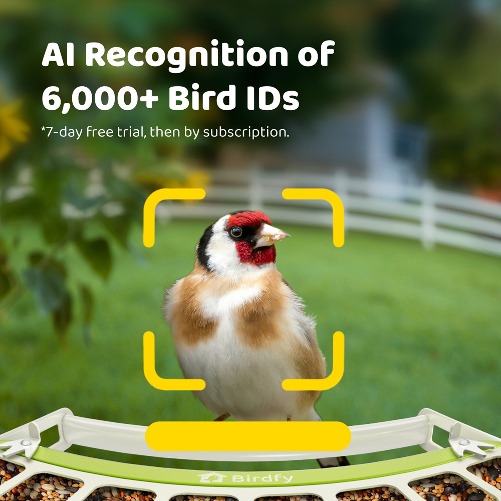 Birdfy Metal Outdoor Smart Bird Feeder with 1080p FHD AI Camera Image 6