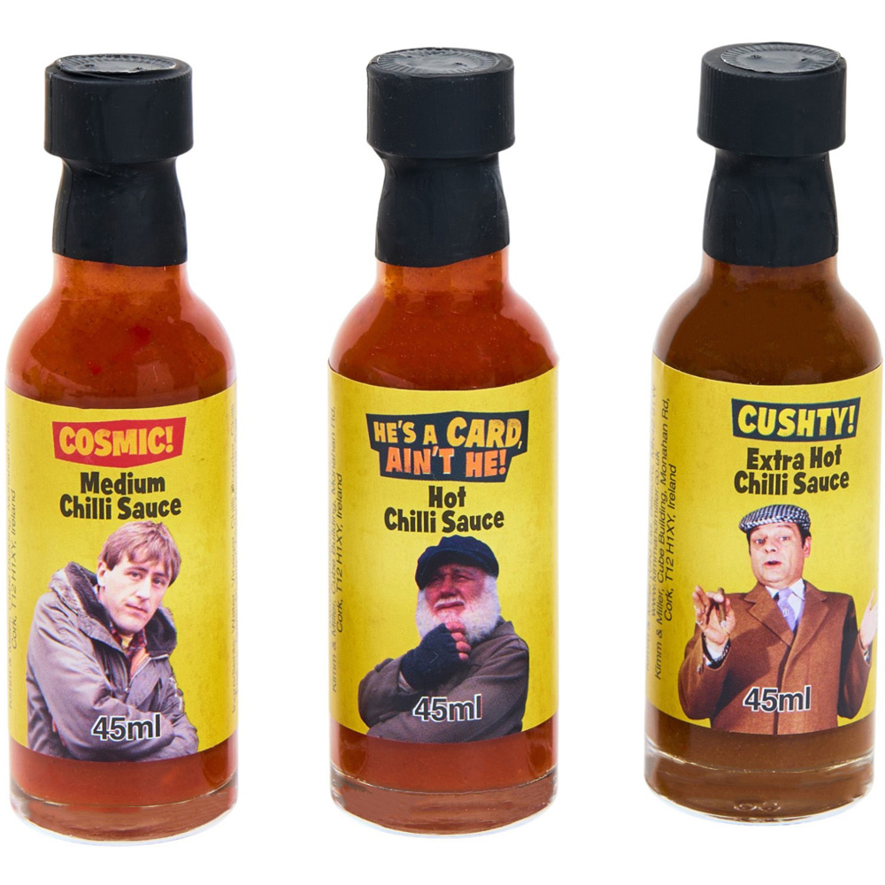 Only Fools and Horses Hot Sauce Van Image 4