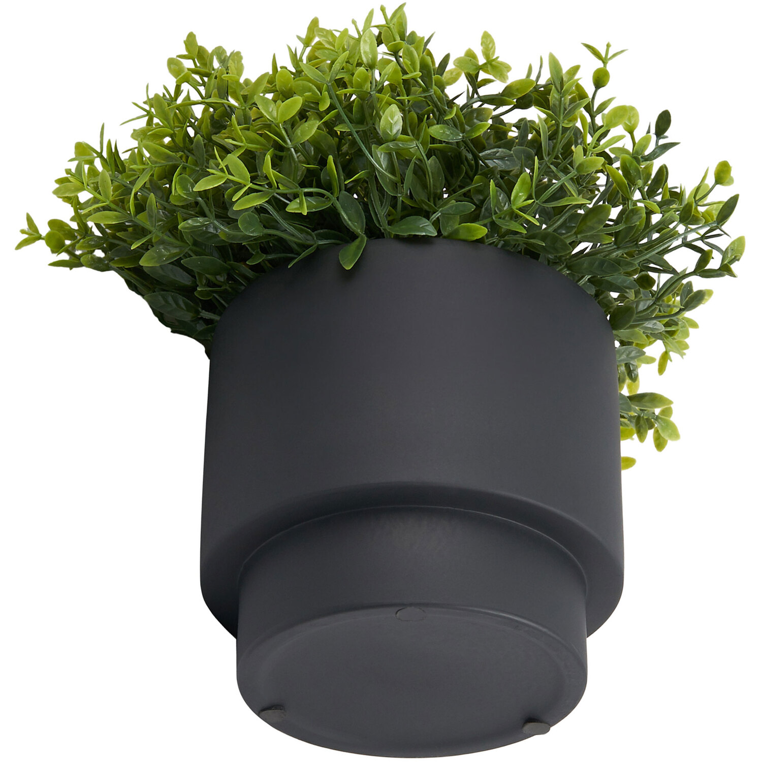 Grass in Black Pot - Black Image 1