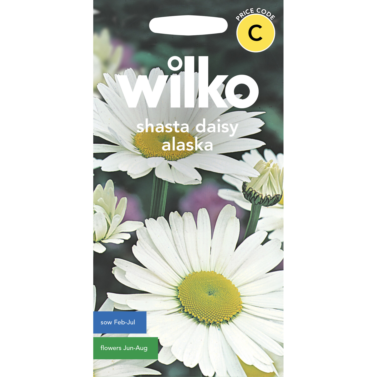 Wilko Shasta Daisy Alaska Seeds Image 1