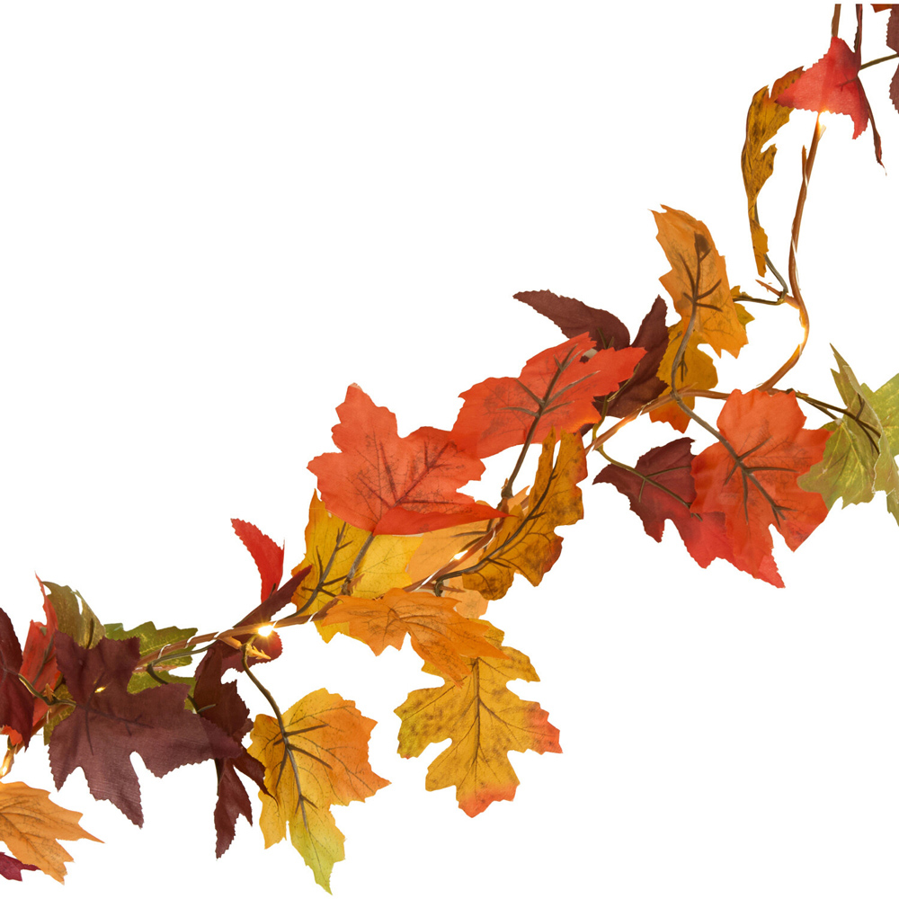 20 LED Autumnal Garland String Light Image 4