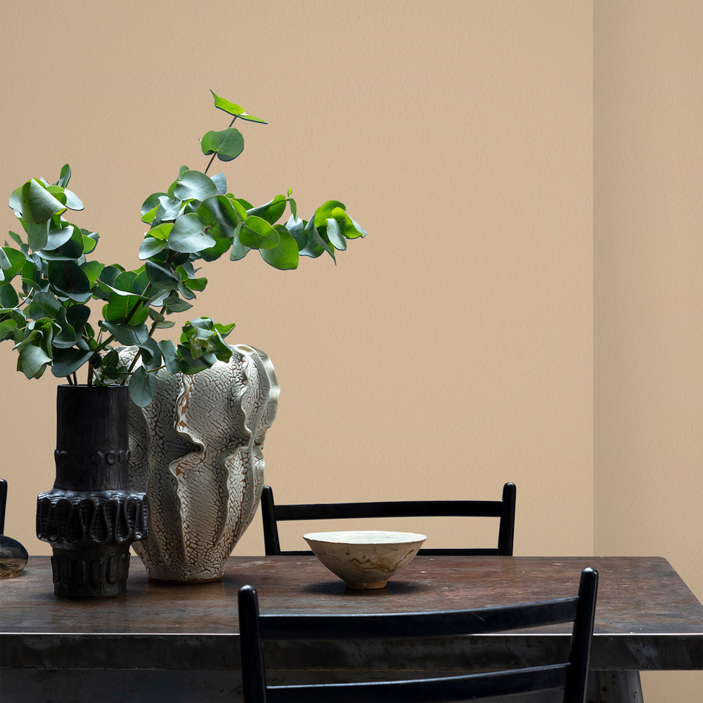Craig & Rose Walls and Ceilings Pale Oak Chalky Emulsion Paint 5L Image 4