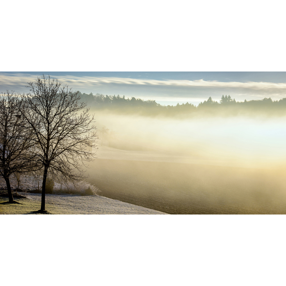 Mirrorstone Nexus Spring Morning Image Wi-Fi Infrared Heating Panel 700W 595 x 1195mm Image 4