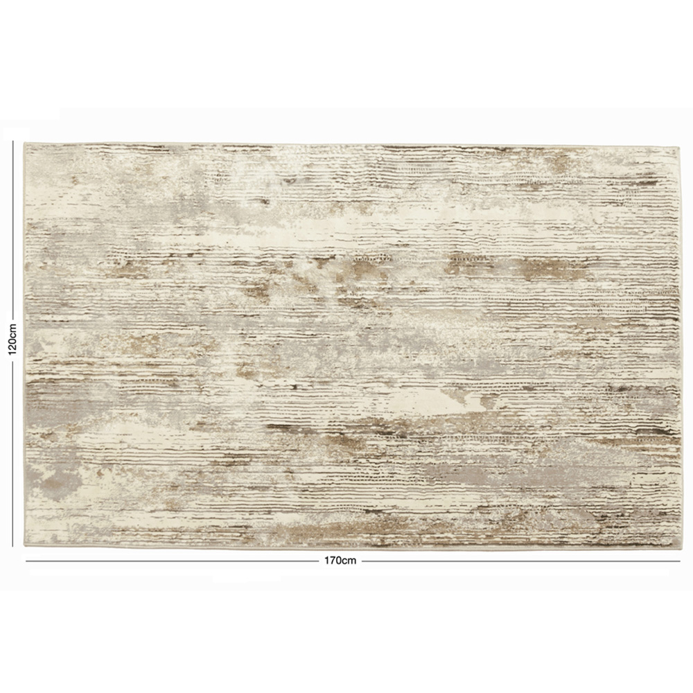 Esselle Home Solar Pluto Natural and Grey Rug 120 x 170cm Image 7