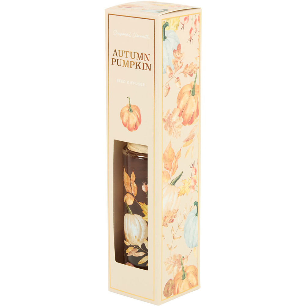 Autumn Pumpkin Reed Diffuser Image 4