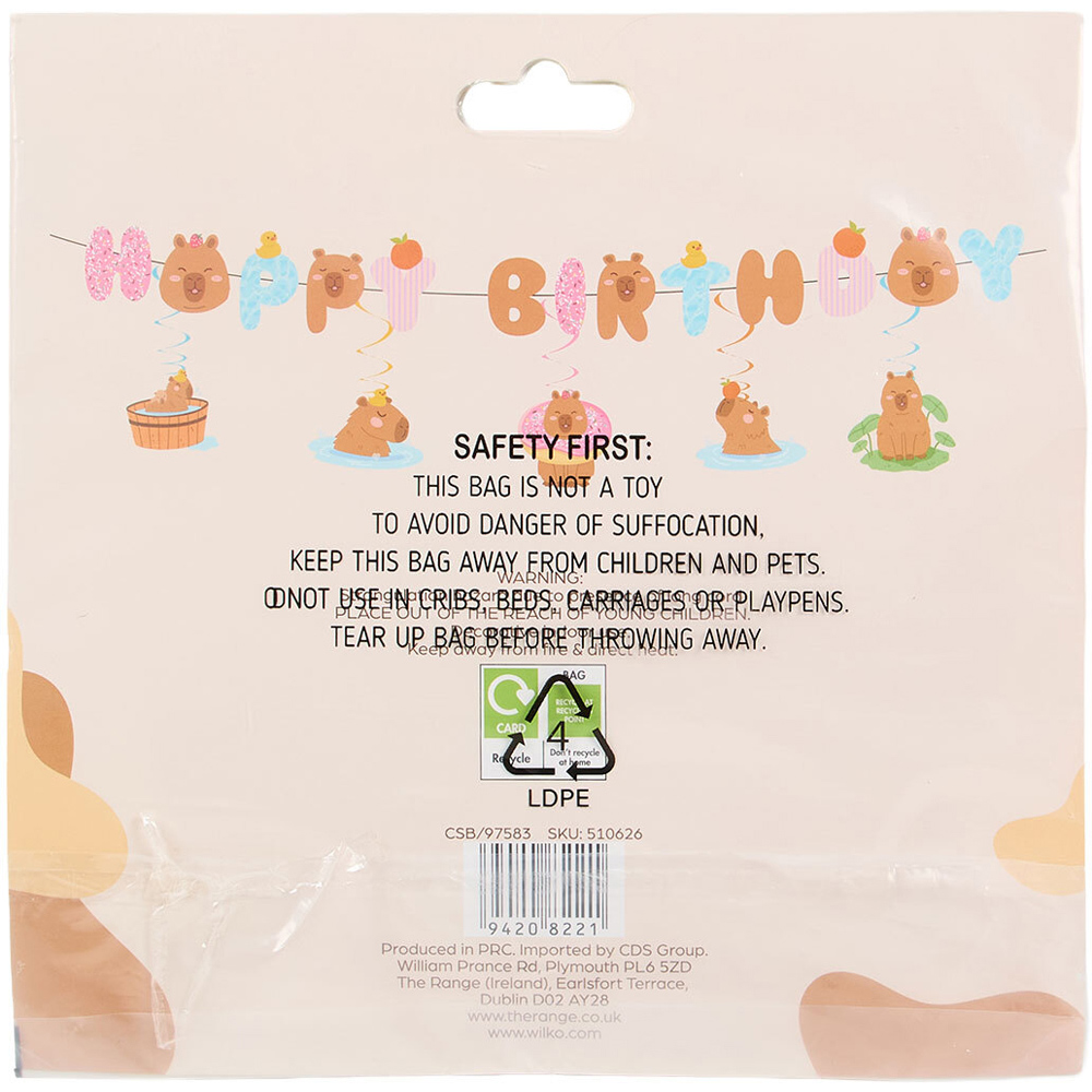 Capybara Happy Birthday Banner Image 4
