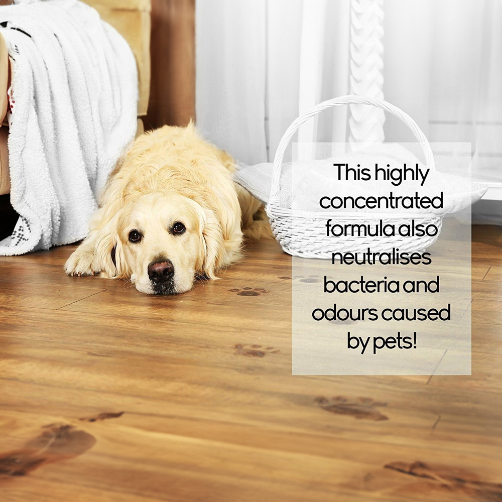 Homefront Pro Kleen Pro Plus Citrus Steam Detergent Image 3