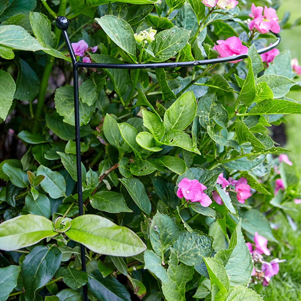 Samuel Alexander Tom Chambers Cottage Heavy Duty Black Metal Plant Support Arc 60 x 36cm 2 Pack Image 2