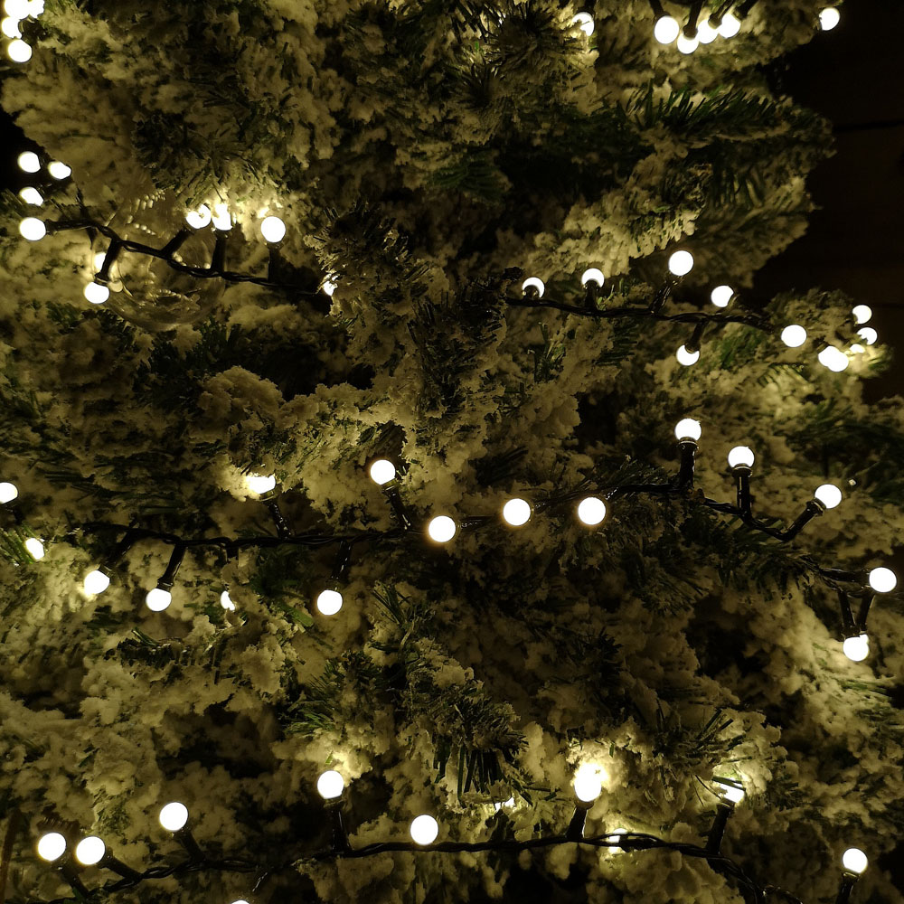 Samuel Alexander 150 Warm White LED Frosted Berry Multi-Function String Light 4m Image 5