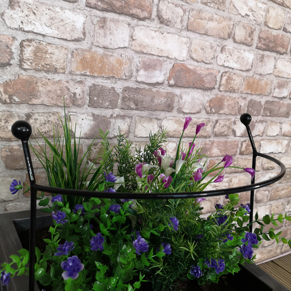 Samuel Alexander Black Metal Herbaceous Plant Support Arc 60 x 36cm Image 2