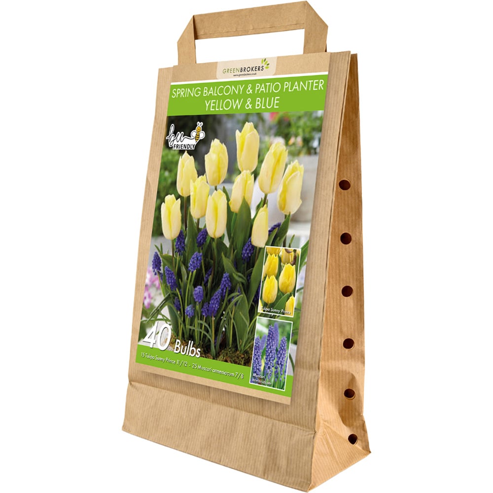 GreenBrokers Yellow and Blue Balcony and Patio Mixed Planter Bulb 40 Pack Image 1