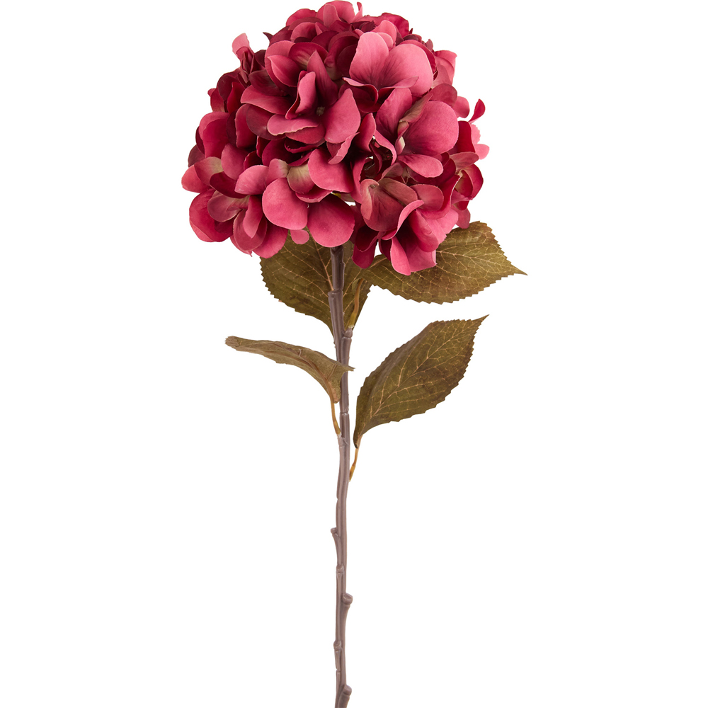 Autumn Hydrangea Stem Image 8