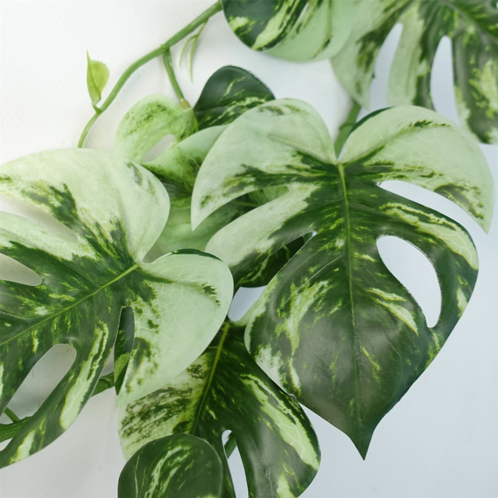 Leaf Trailing Variegated Monstera Hanging Artificial Plant 180cm Image 4