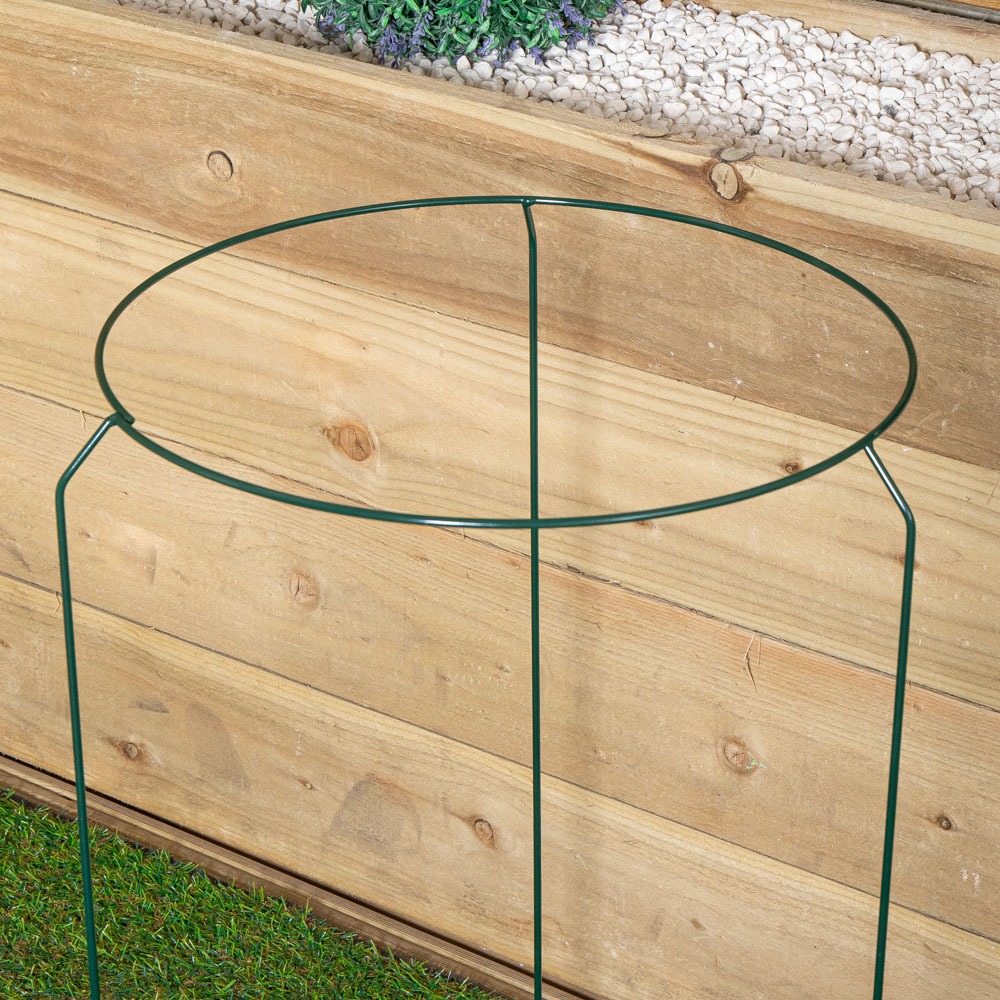 Samuel Alexander Metal Herbaceous Plant Support Ring 40 x 60cm Image 7