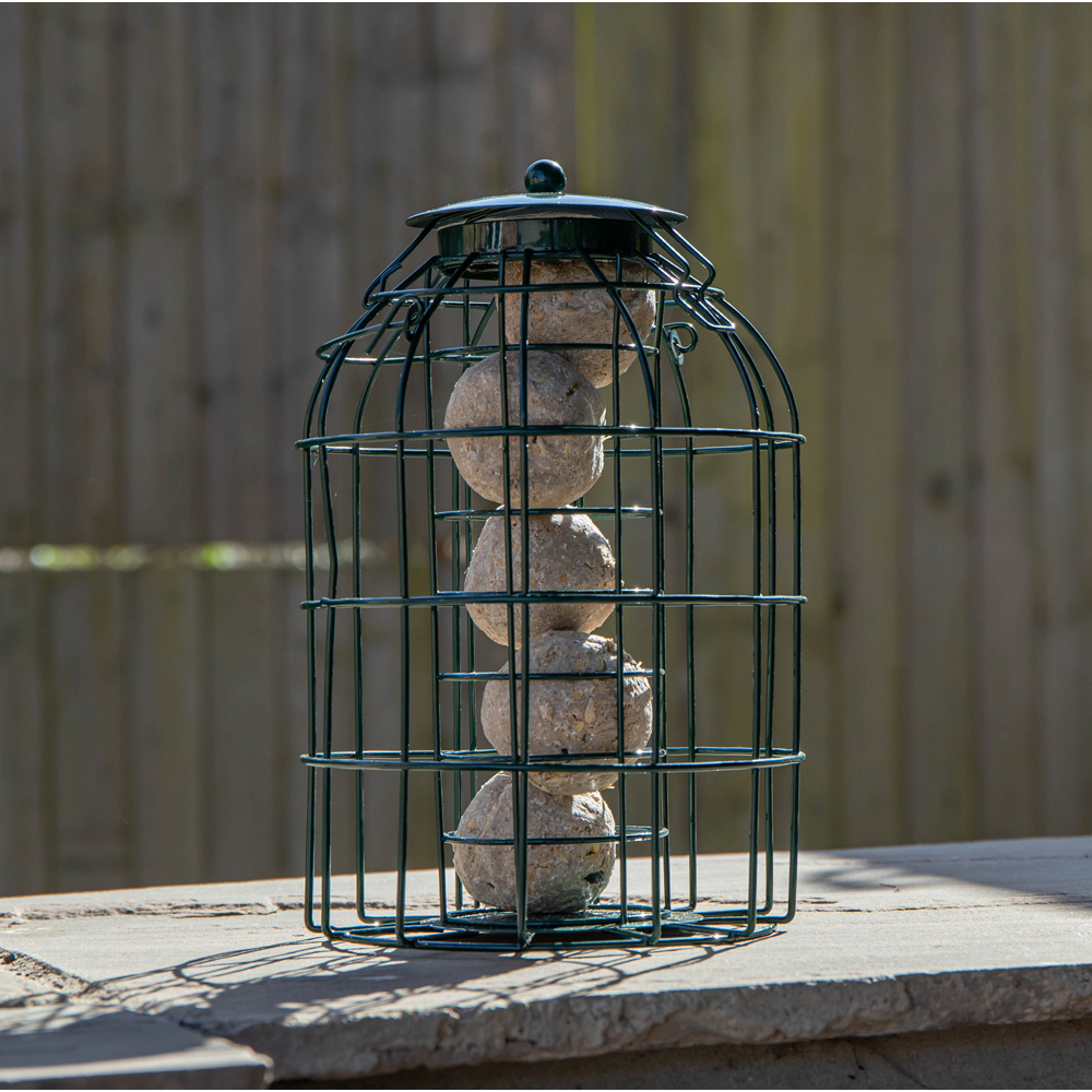 Samuel Alexander 2 Pack Metal Hanging Bird Feeder with Squirrel Guard and Suet Fat Ball 6 Pack Image 4