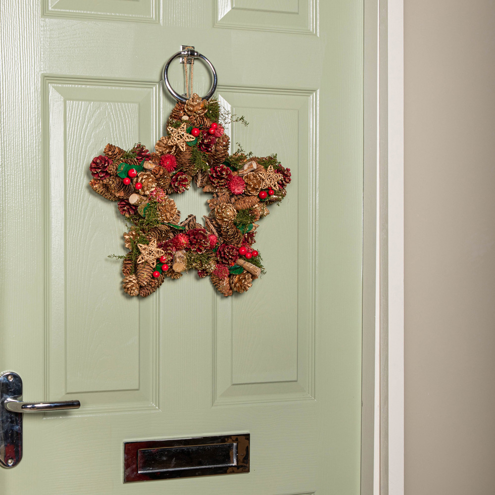 Samuel Alexander Red Star Wreath with Berries and Pinecones 35cm Image 2