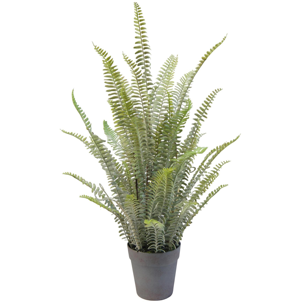 Botanik Lush Green Fern Artificial Plant in Pot 2ft Image 1