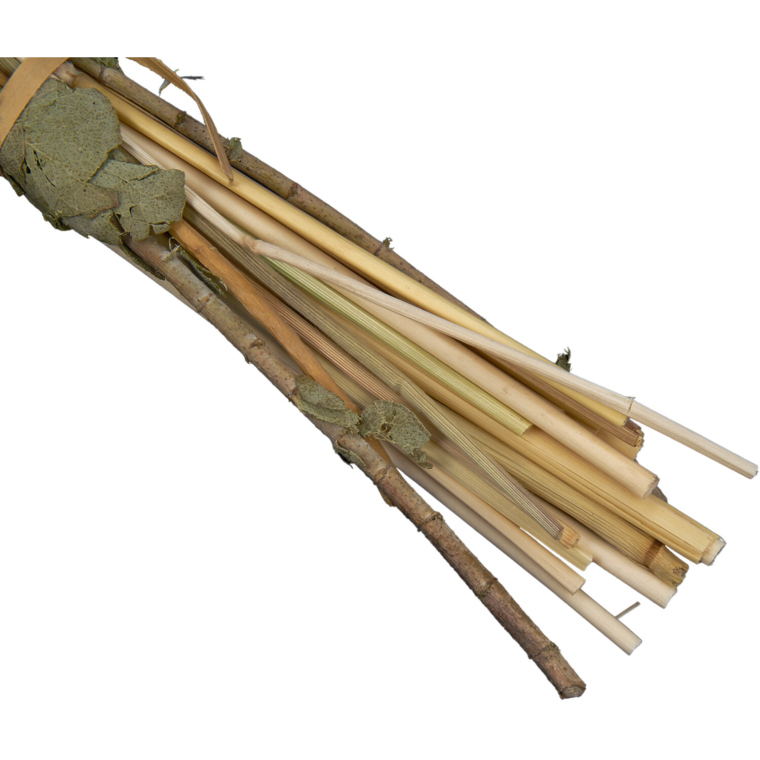 Dried Floral Pampas Bouquet - Natural Image 5