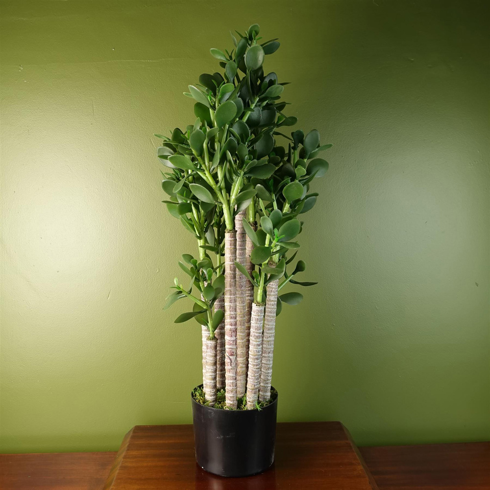 Leaf Deluxe Green Jade Artificial Plant in Pot 2.5ft Image 2