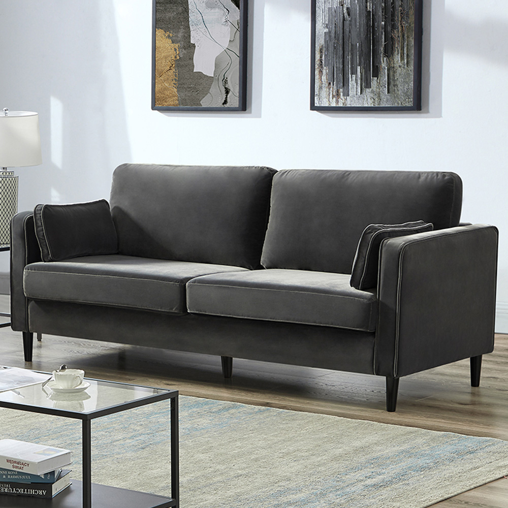 Furniture One 2 Seater Velvet Sofa with Armrest Image 1
