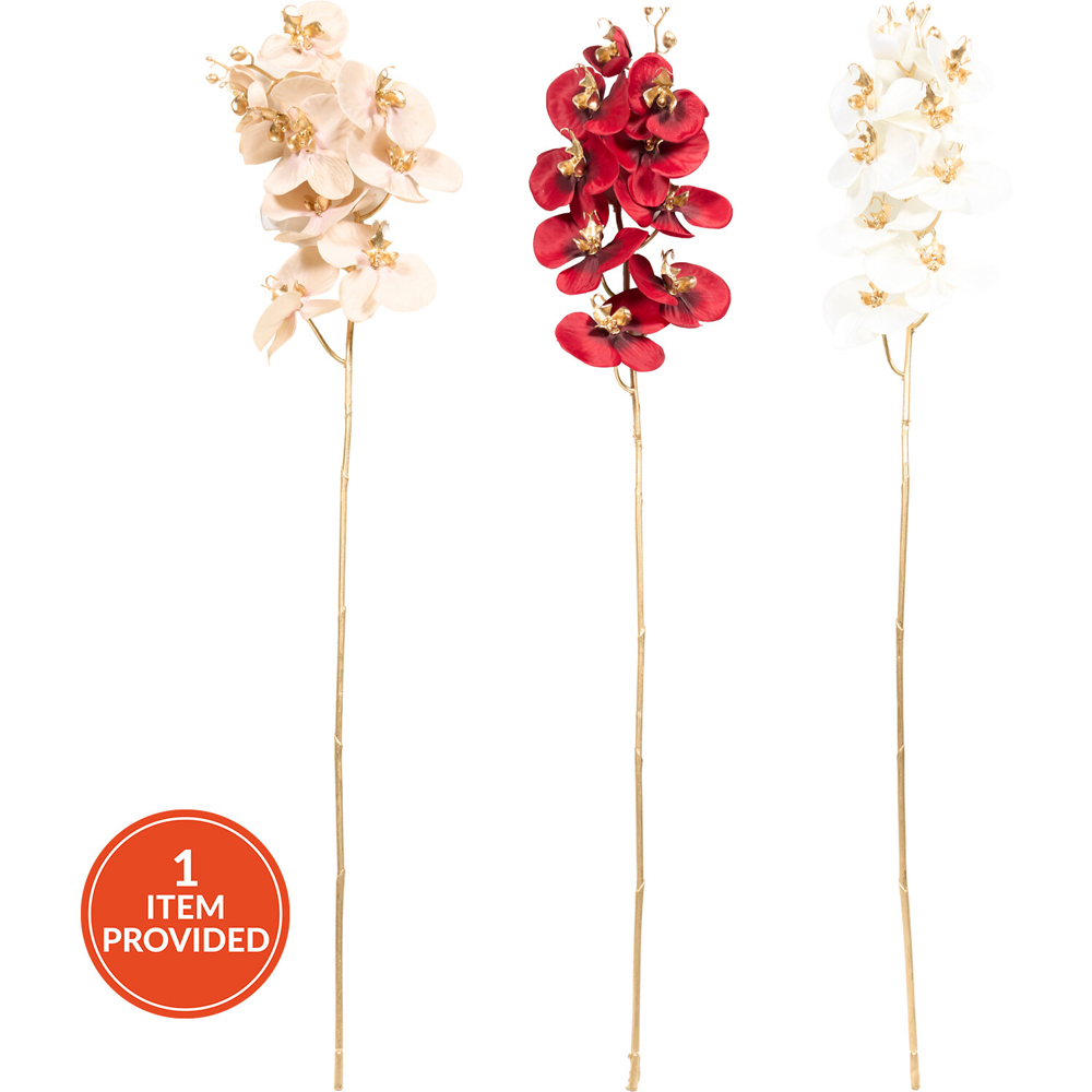 Shimmer Orchid Stem Image 1