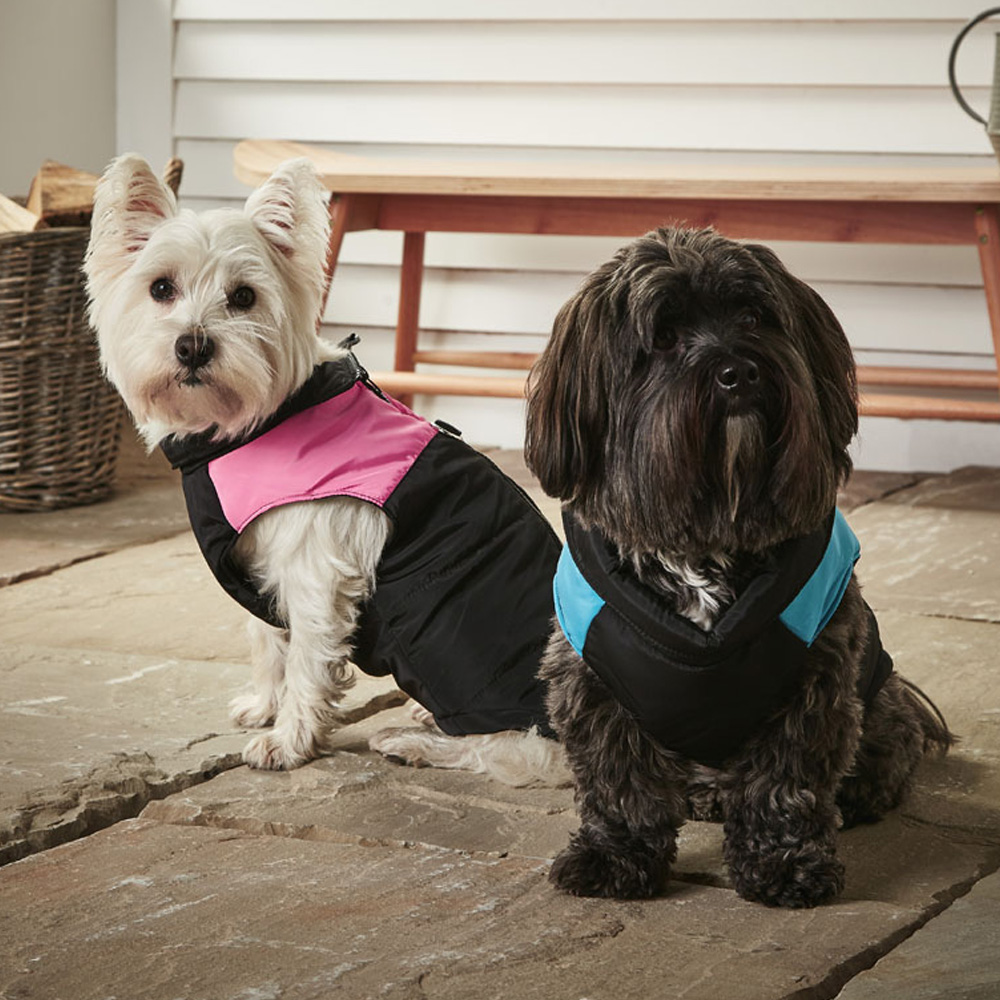 Wilko dog coats new arrivals