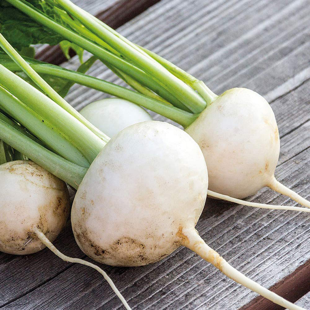 Thompson & Morgan Turnip Rapa De Lodi Seed Packet Image 1