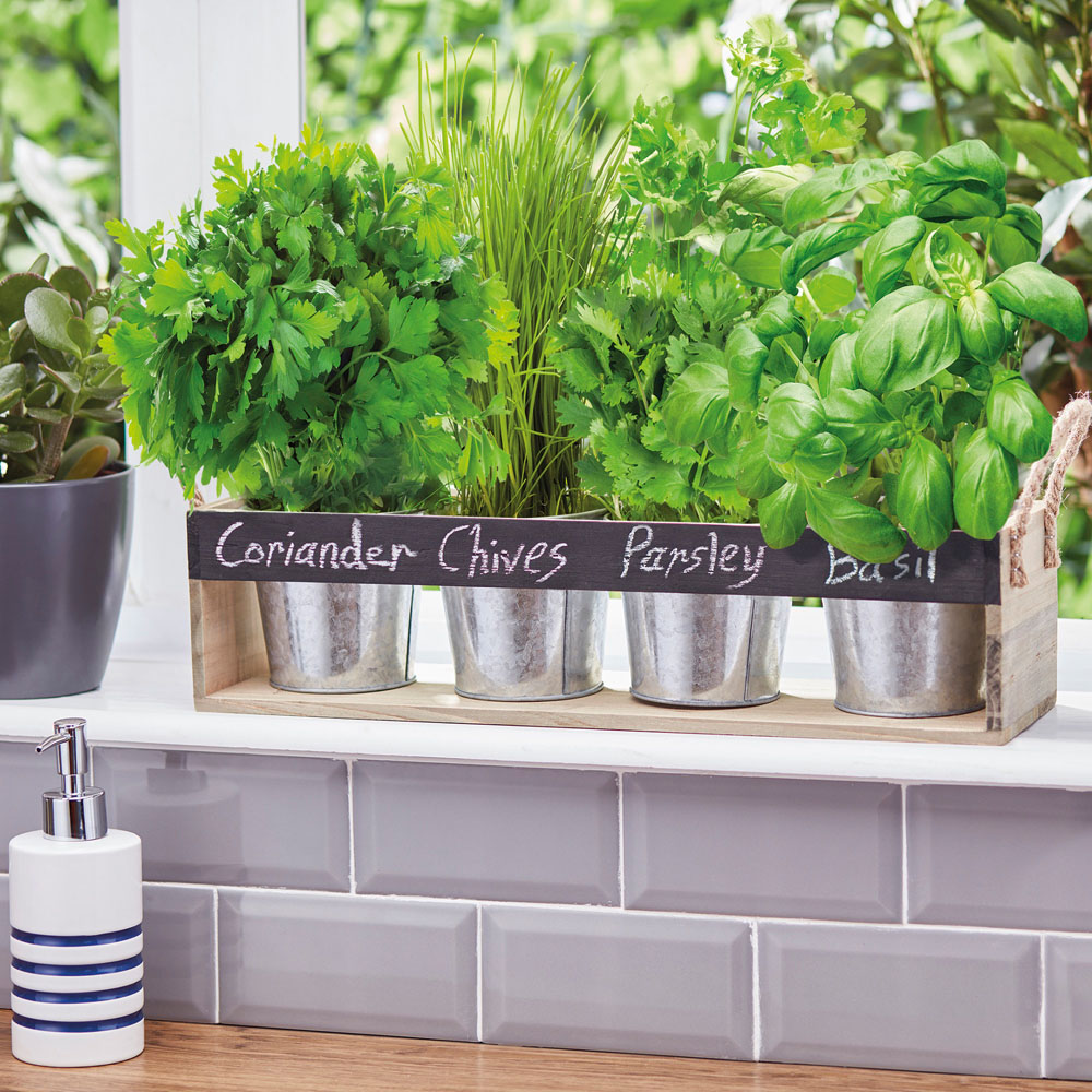 Garden Gear Chalk Board Herb Garden Gift Set Image 2