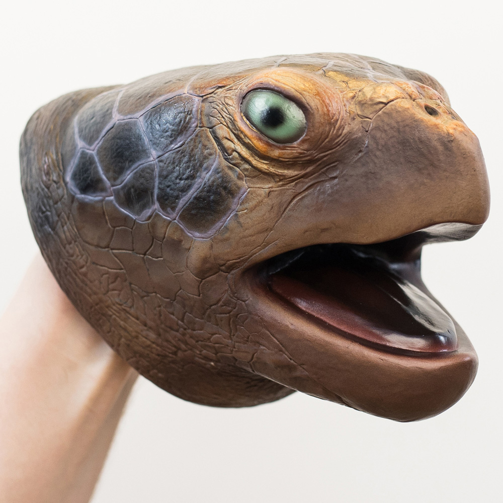 Wild Thingz Sea Turtle Hand Puppet Image 3