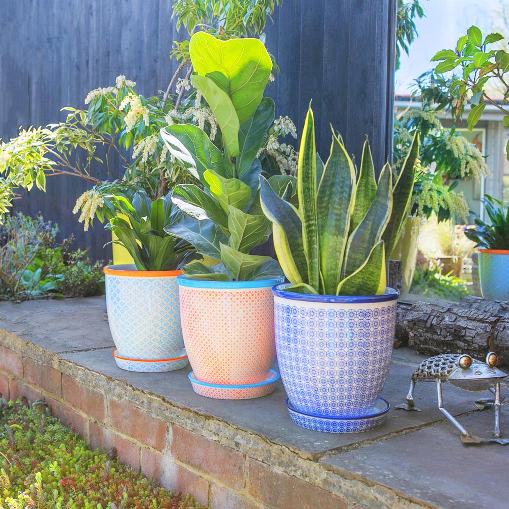 Nicola Spring Hand Printed Plant Pots with Saucers 20.5cm 3 Pack Image 3