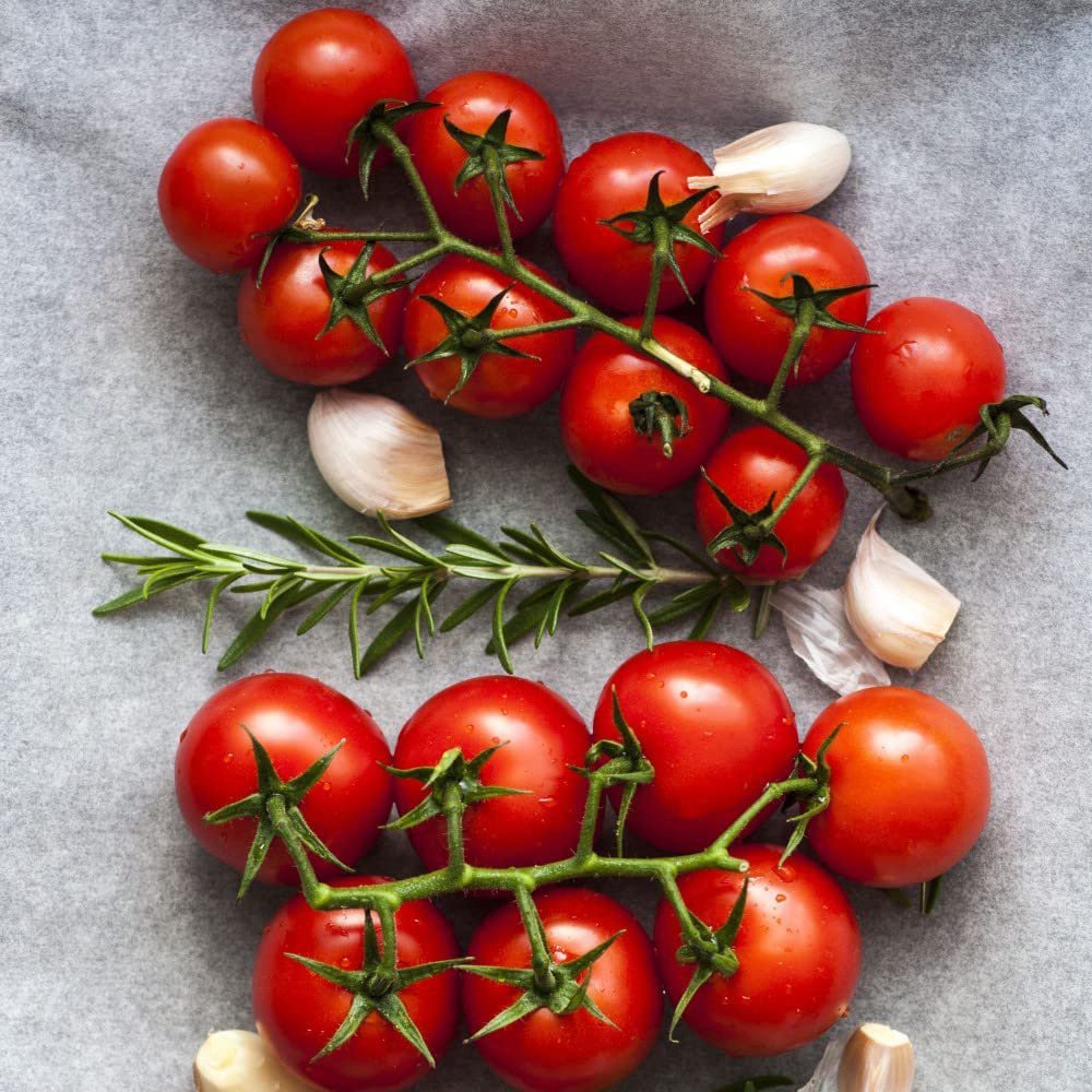 Thompson and Morgan Tomato Gardeners Delight Plant Pot 9cm 3 Pack Image 3