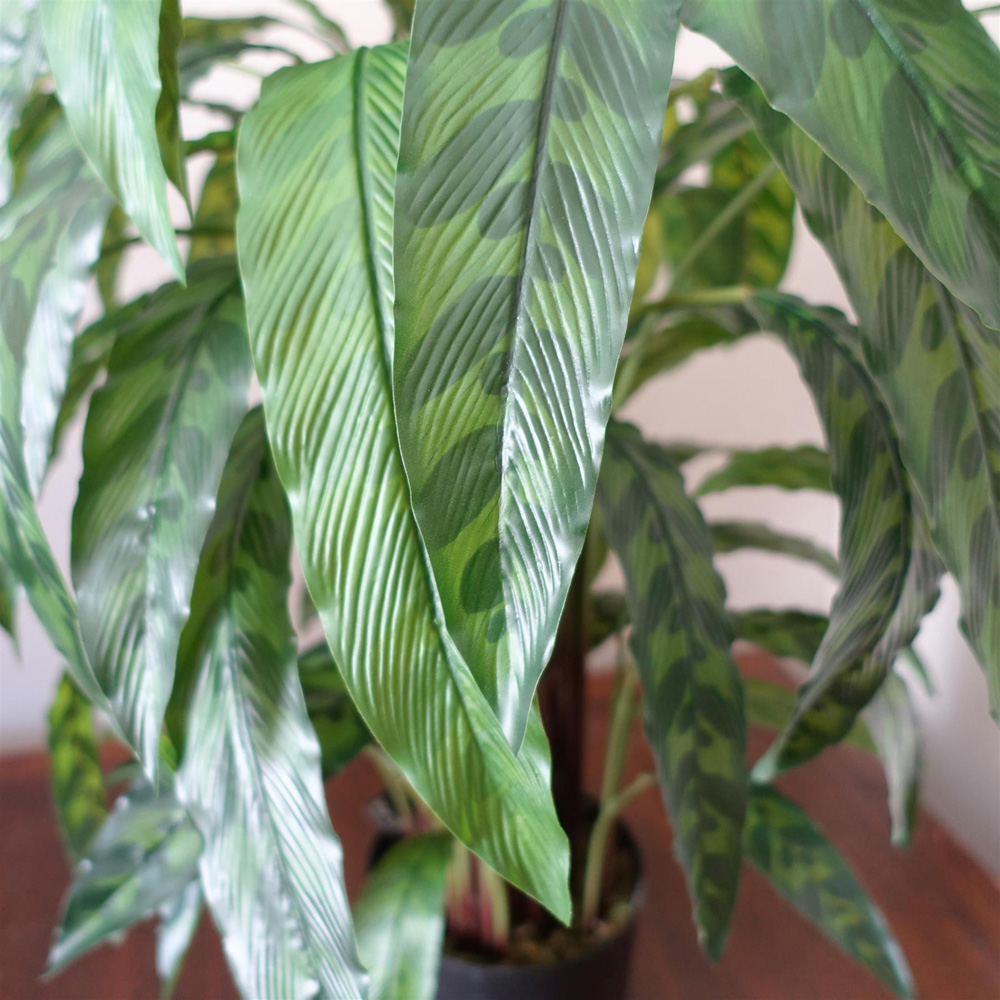 Leaf Green Variegated Calathea Artificial Plant Pot 2.9ft Image 4