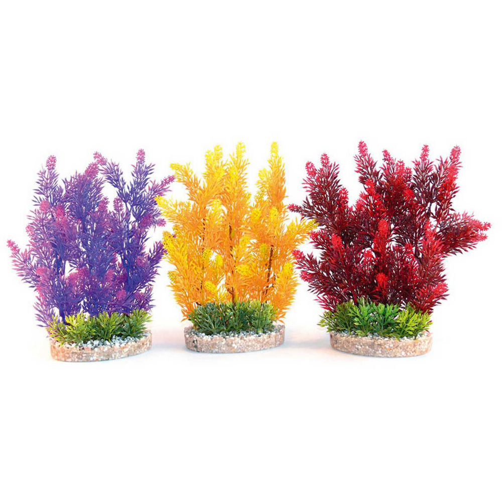 Sydeco Aqua Hedge Image
