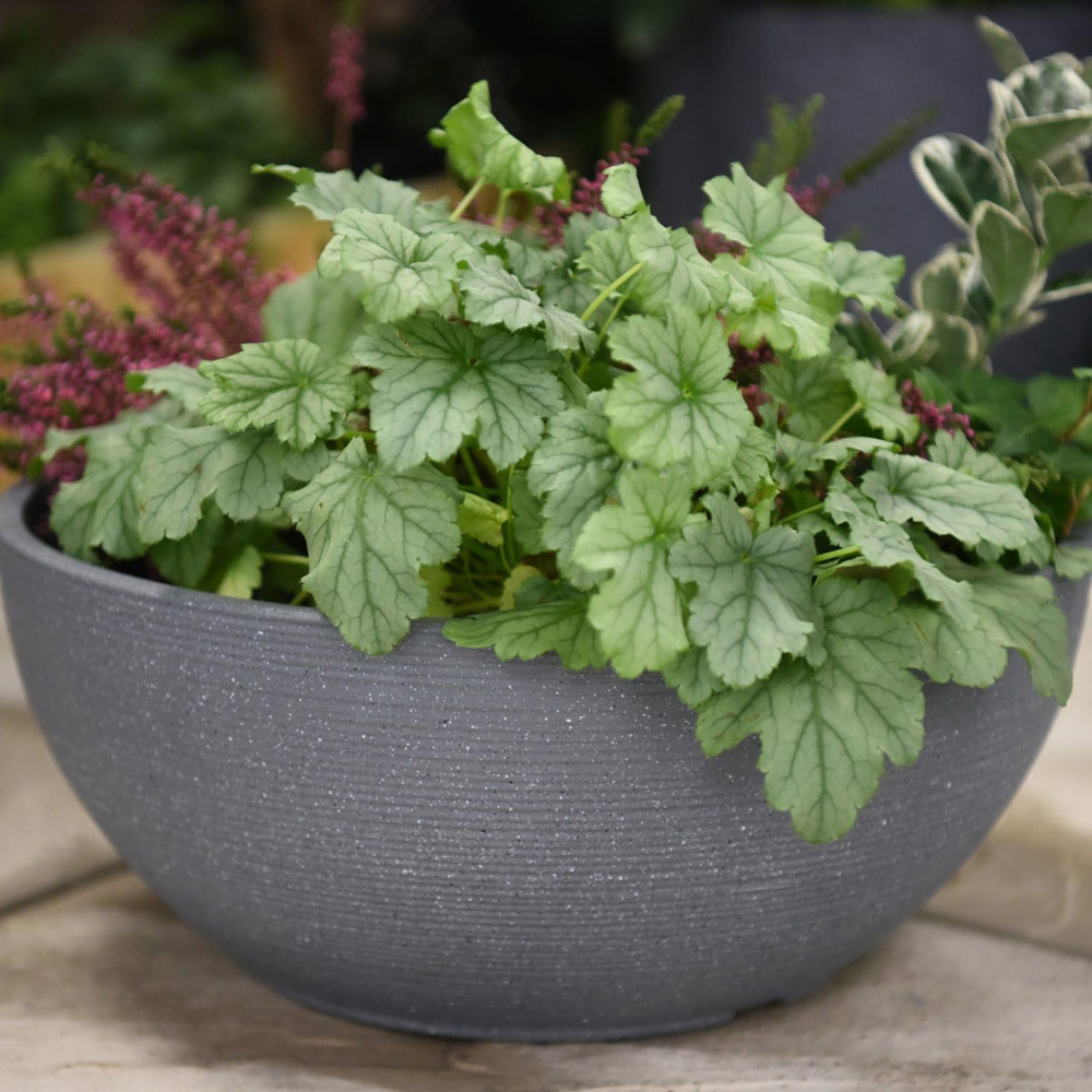 Garden Gear Dark Grey Bayadere Bowl Planter 35cm 3 Pack Image 3