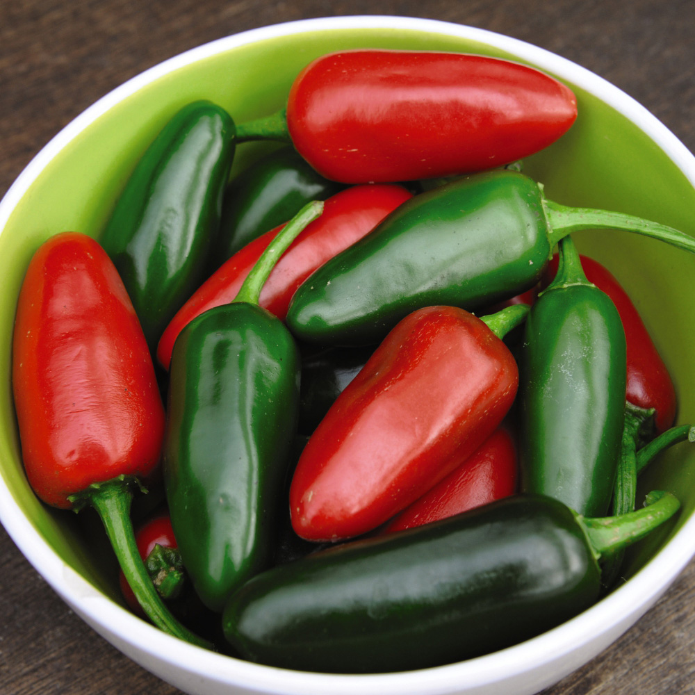 Thompson and Morgan Chilli Pepper Patio Collection Plant Pot 9cm 3 Pack Image 2