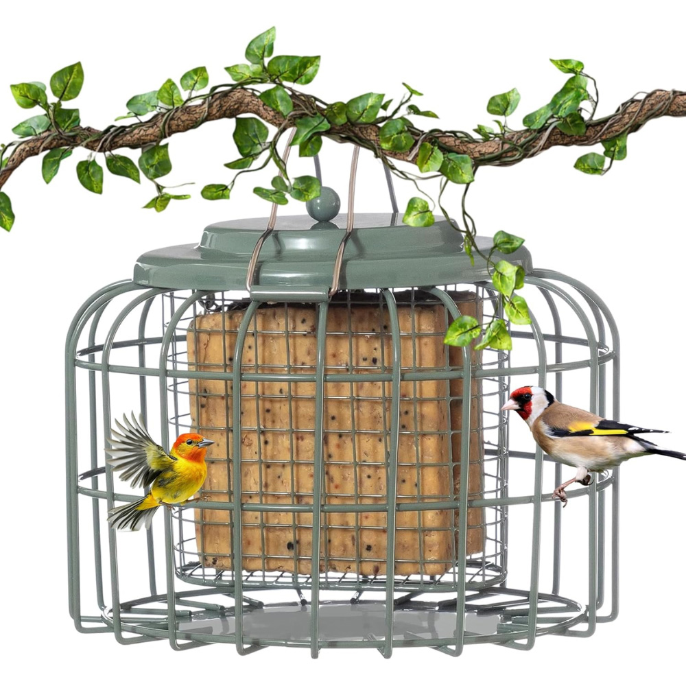 Happy Beaks The Nuttery Ocean Green Squirrel-Proof Oval Fat Ball Suet Cake Feeder Image 1
