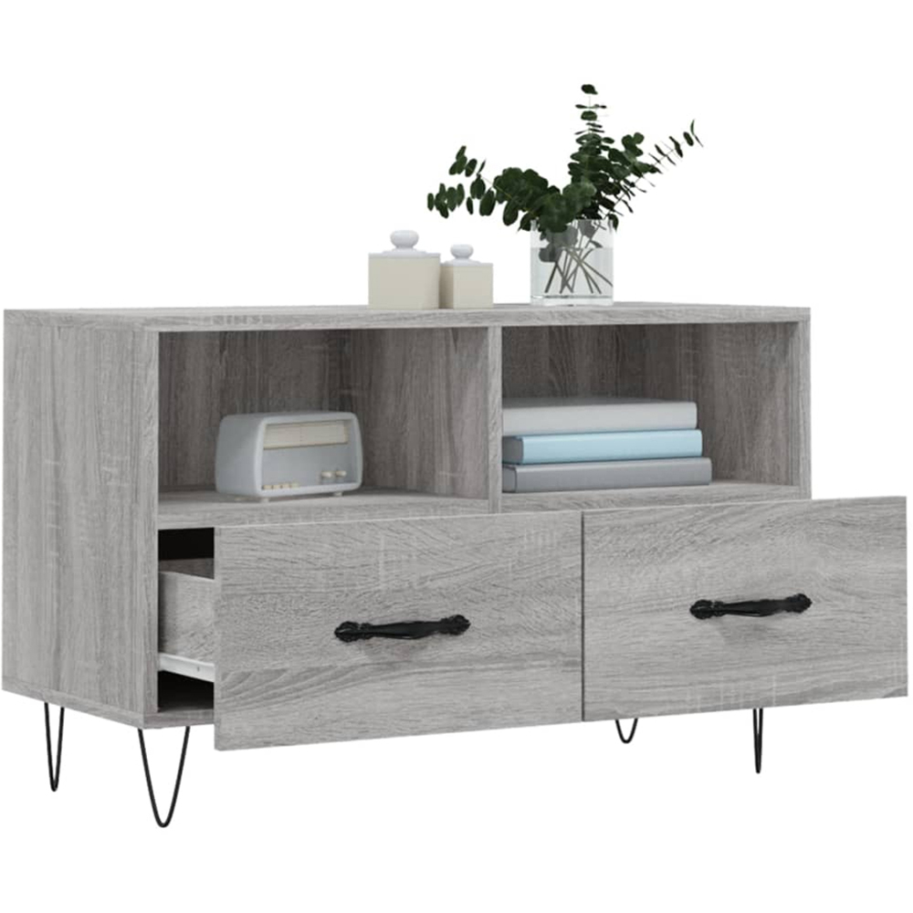 vidaXL 2 Drawer 2 Shelf Grey Sonoma TV Cabinet Image 4