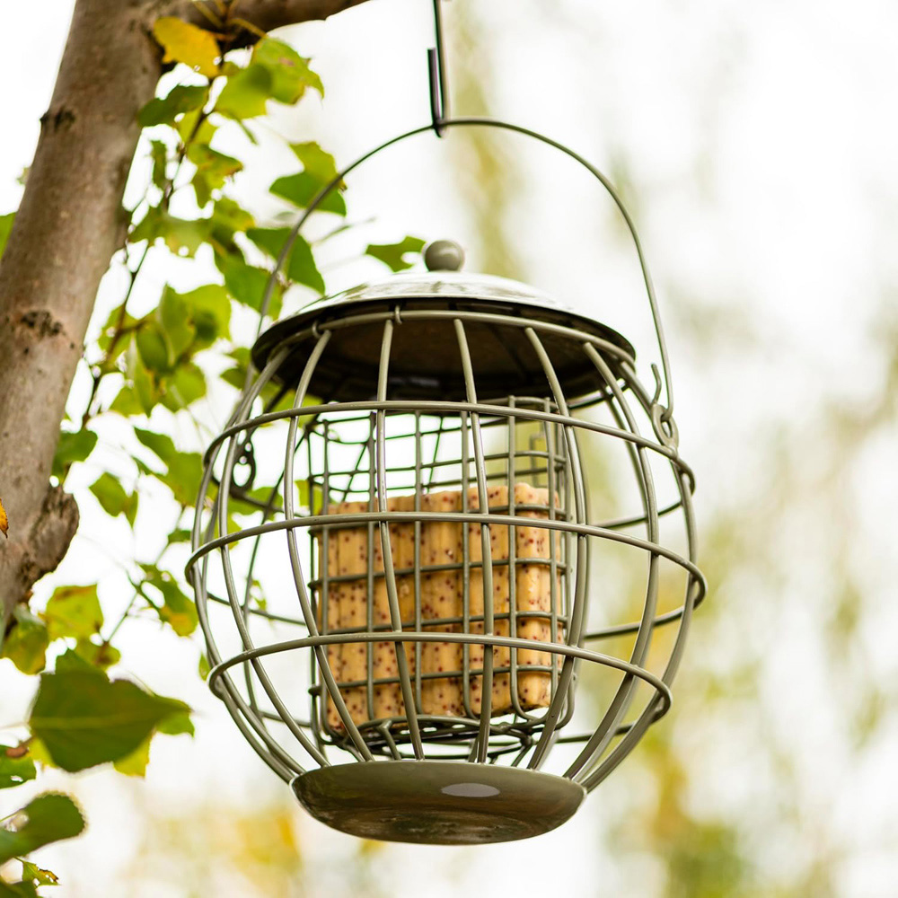 Thompson and Morgan Happy Beaks Orbital Squirrel Proof Suet Feeder Image 2