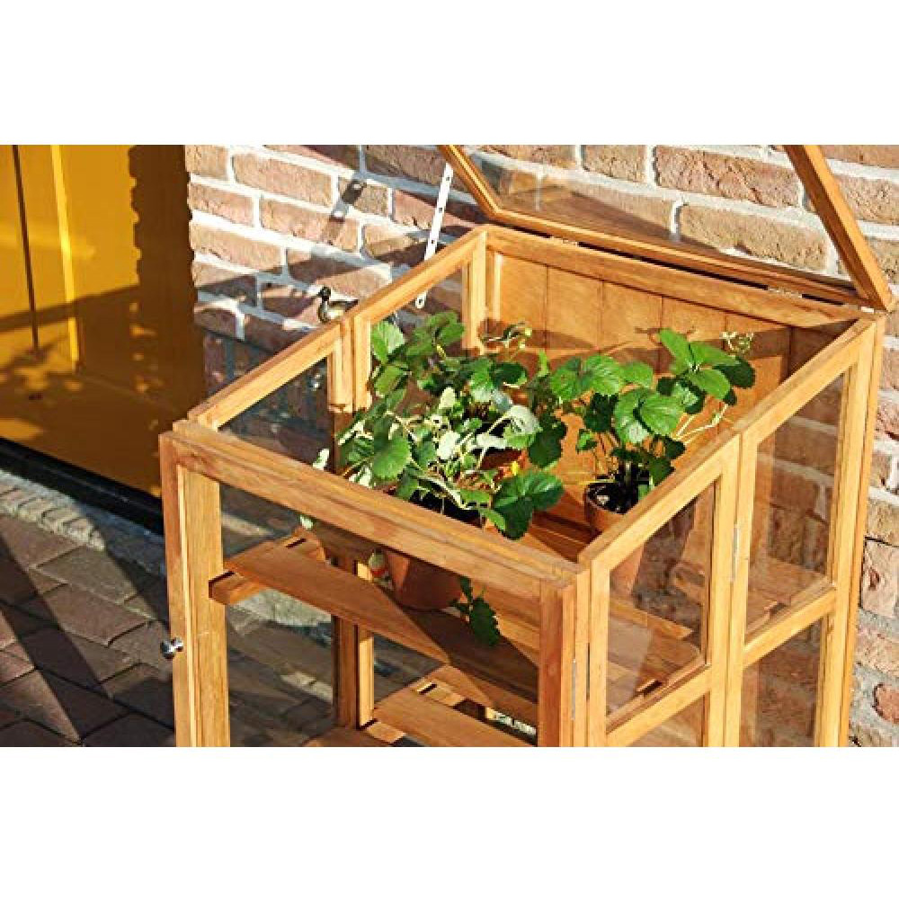 Fallen Fruits 2 Tier Hardwood Cold Frame Image 2