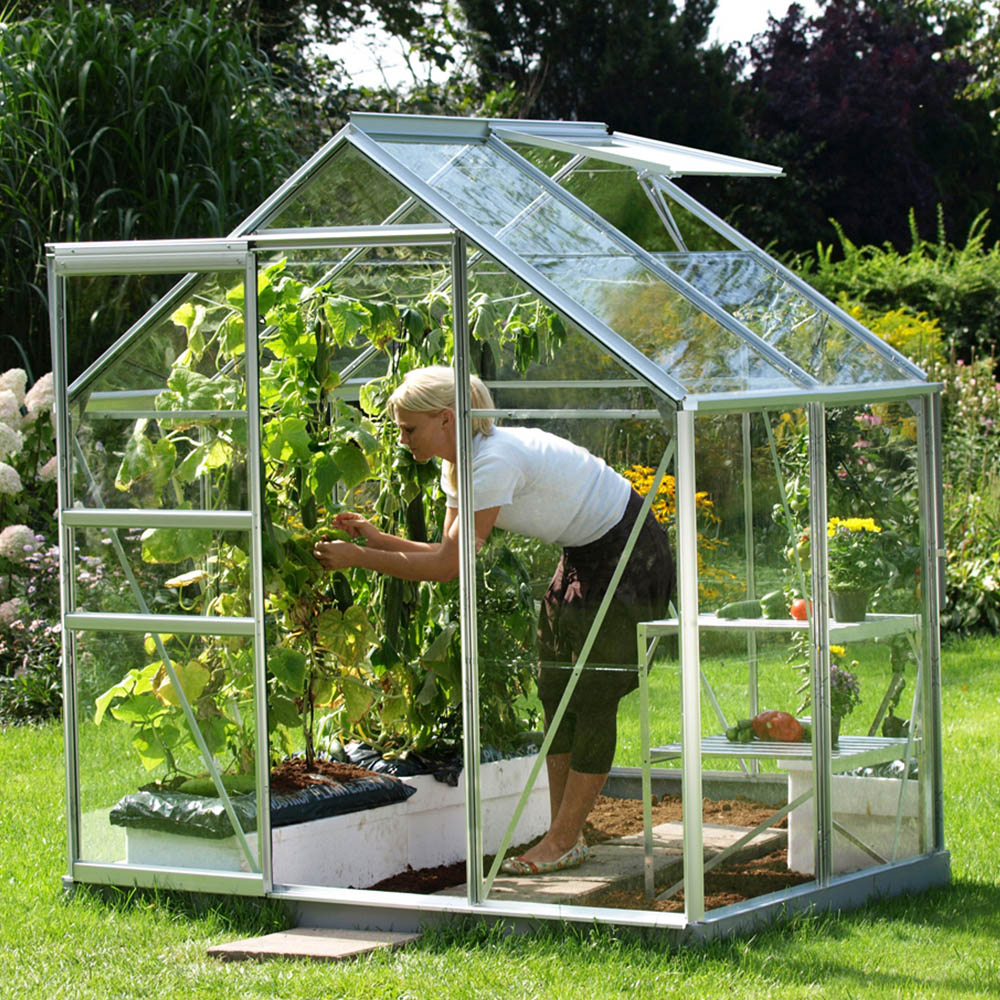 Vitavia Venus 2500 Aluminium Frame 6 x 4ft Toughened Glass Greenhouse Image 3