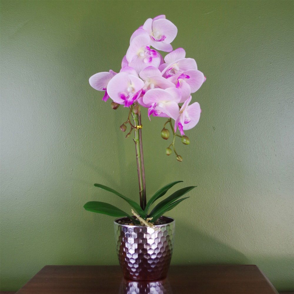 Botanik Light Pink Phalaenopsis Orchid Artificial Plant in Silver Pot 50cm Image 2