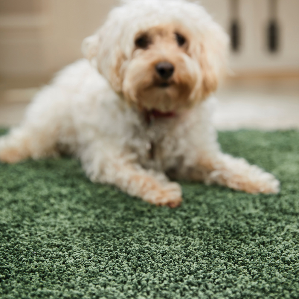 My Rug Forest Green Rug 67 x 300cm Image 4