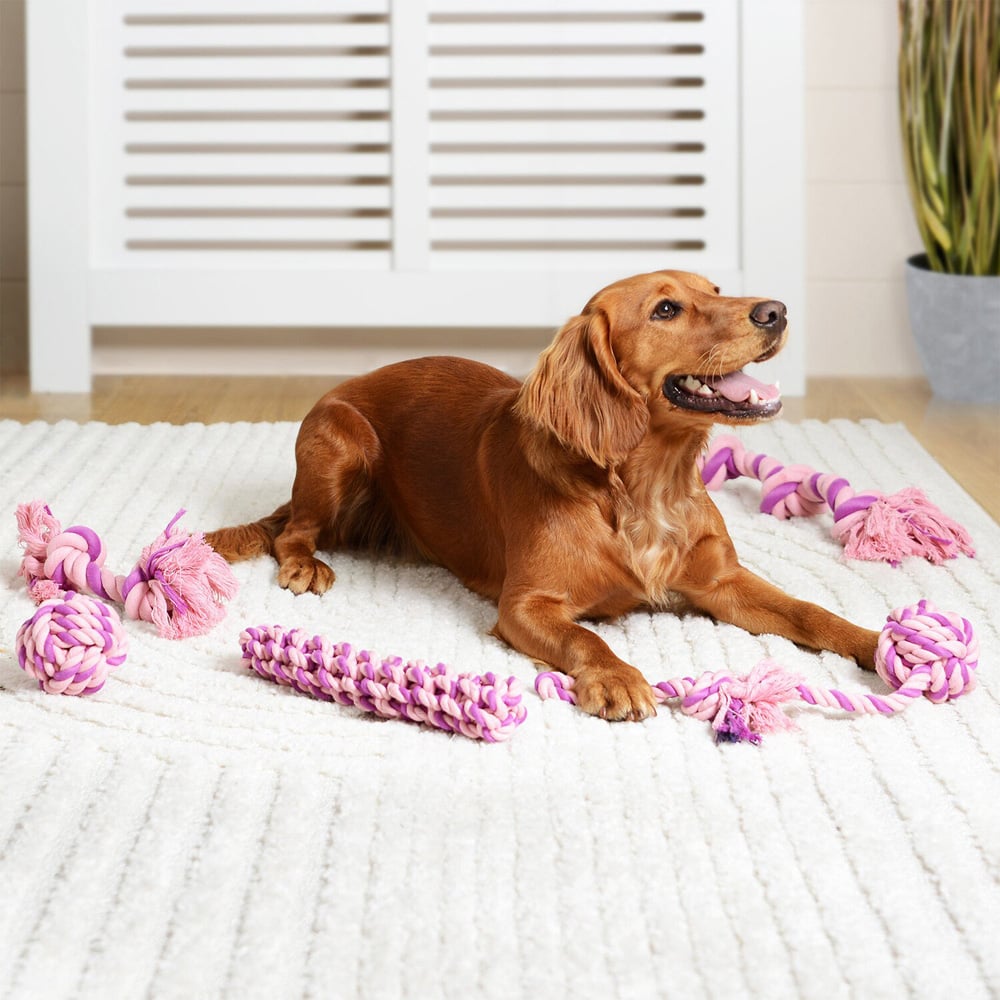 Single Clever Paws Knotted Ball on a Rope Dog Toy in Assorted styles Image 2