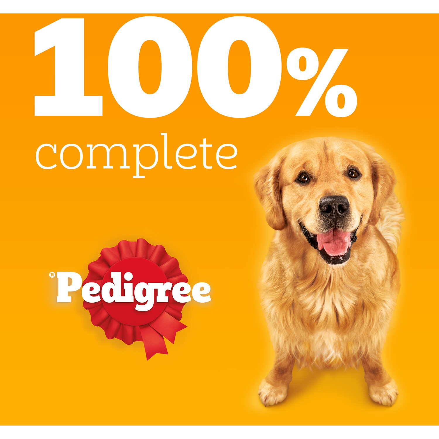 Pedigree Complete Dry Adult Dog Food Image 6