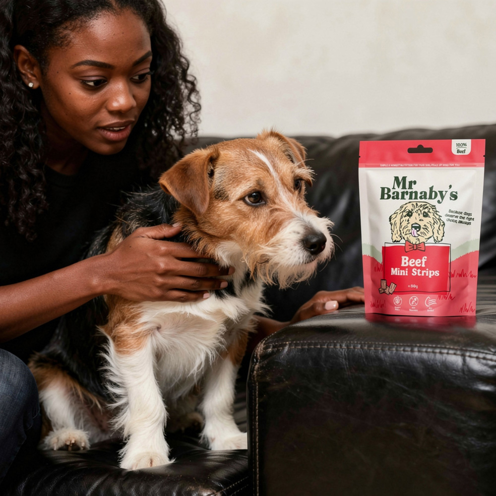Mr Barnaby's Beef Dog Treat Bundle 80g 2 Pack Image 3