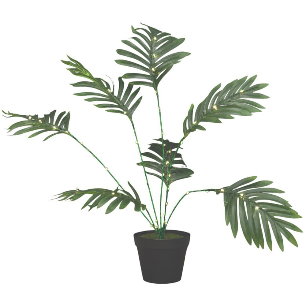 Table Palm Tree Light Green Image 1